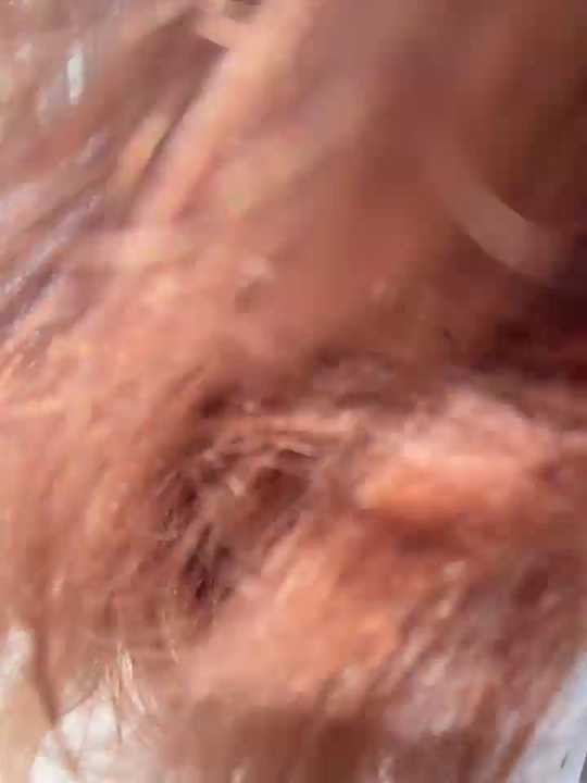 -stray-cat- cam recording