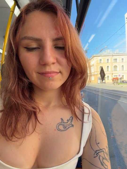 -stray-cat- cam recording