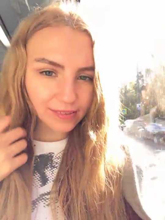 -stray-cat- cam recording