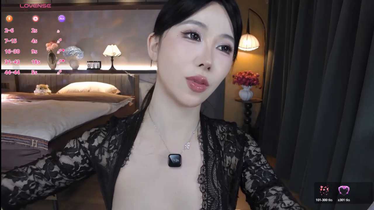 AYW-21 cam recording