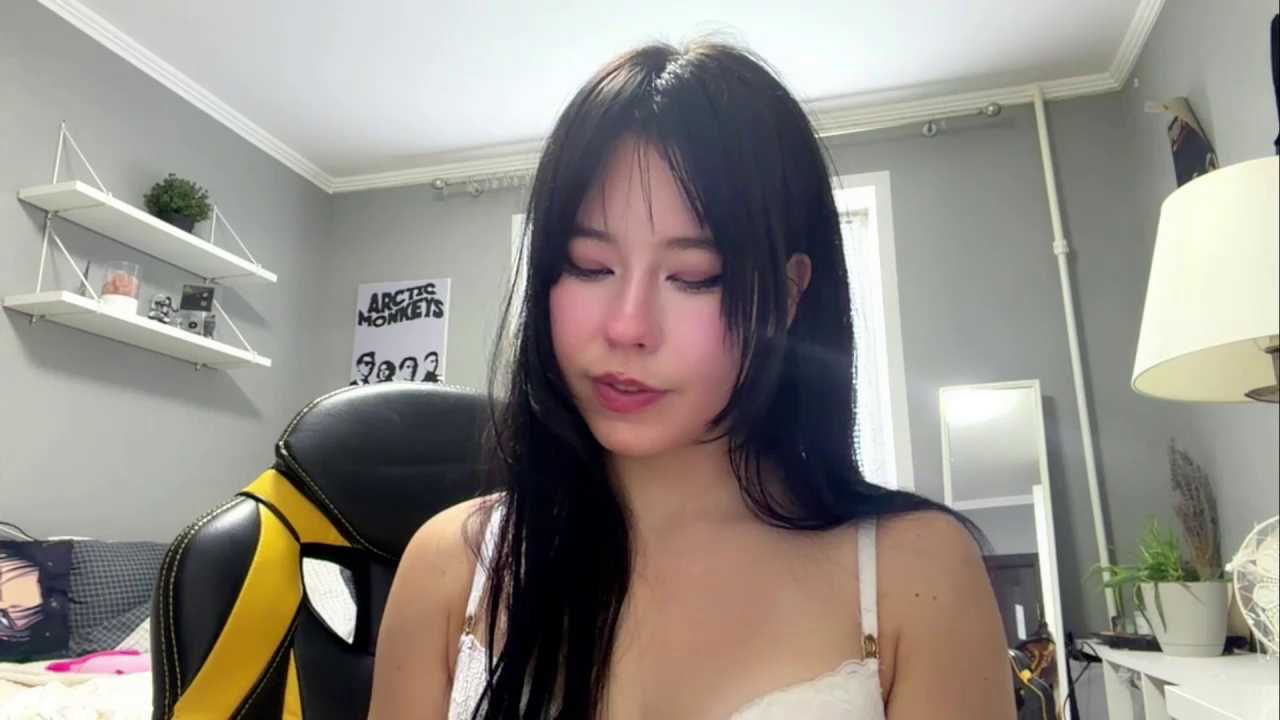 AmiKite cam recording