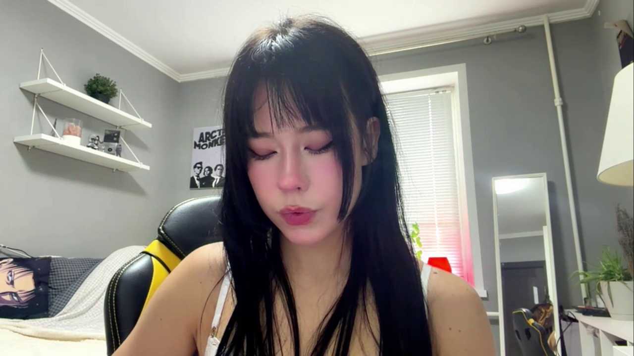 AmiKite cam recording
