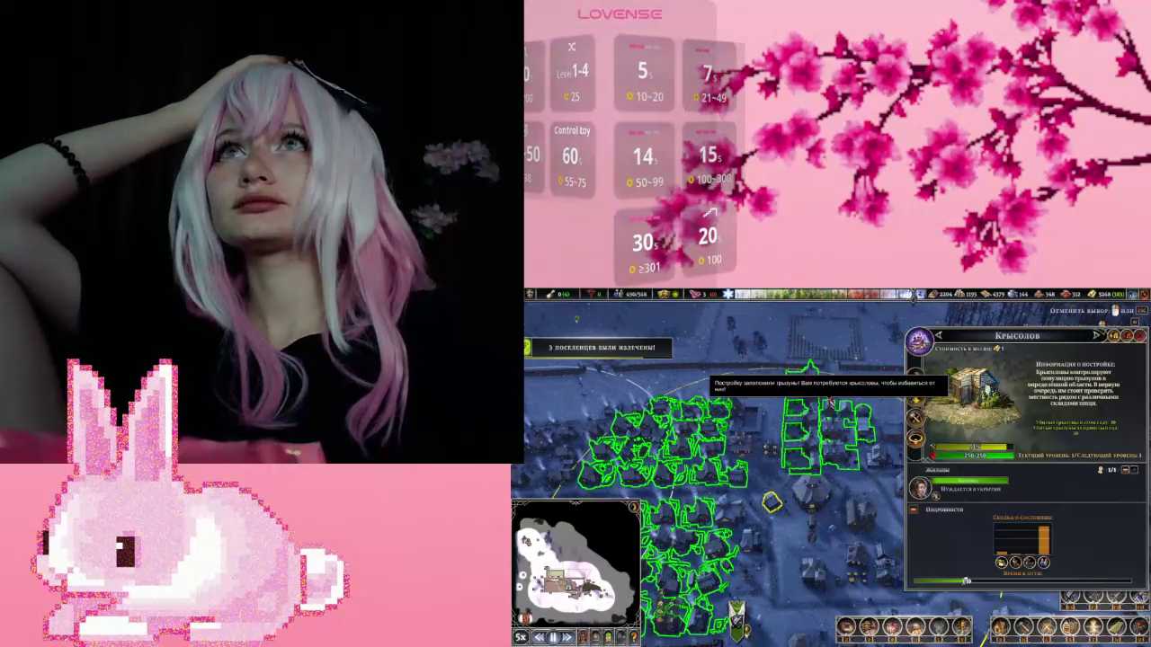 AmiMinie cam recording