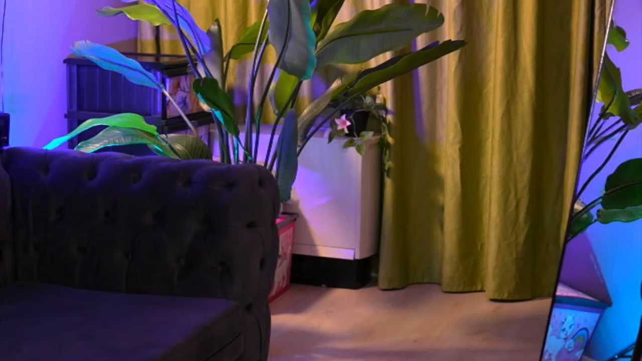 Arabian_Rose cam recording