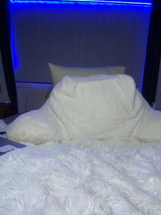 AurourasFantasyXo cam recording