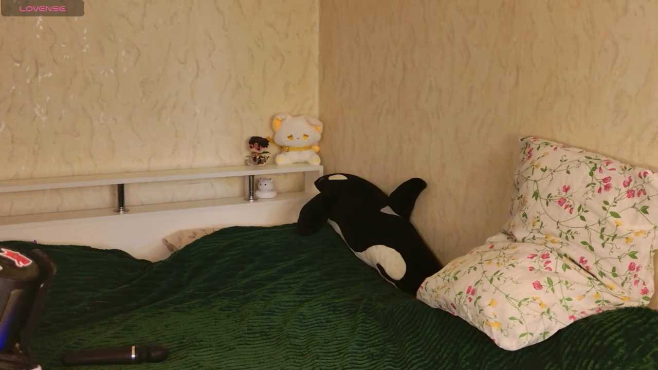 Baby__Fox cam recording
