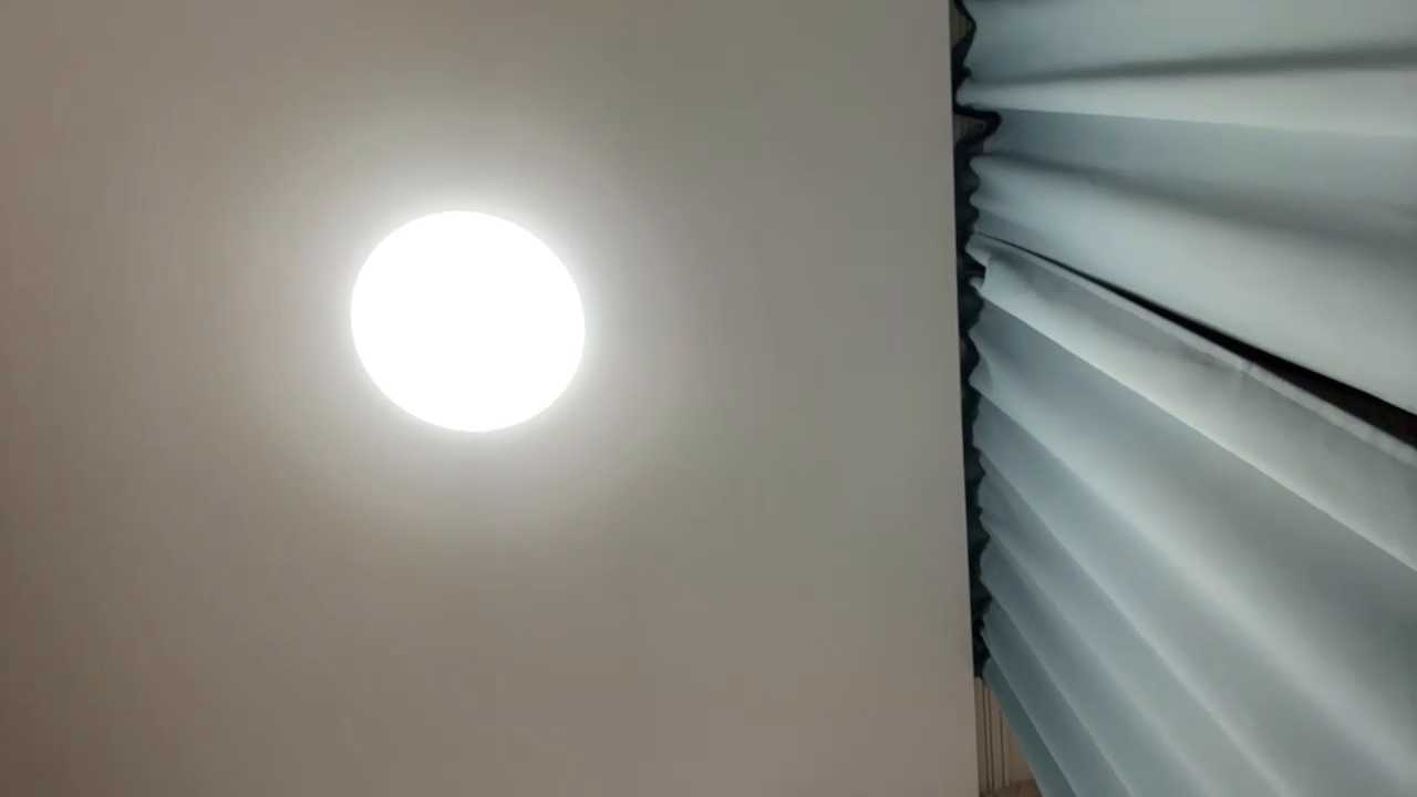 BirgitKamal cam recording