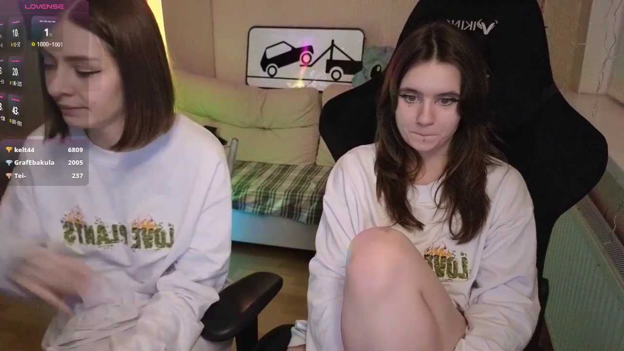 Blackpinkkitens