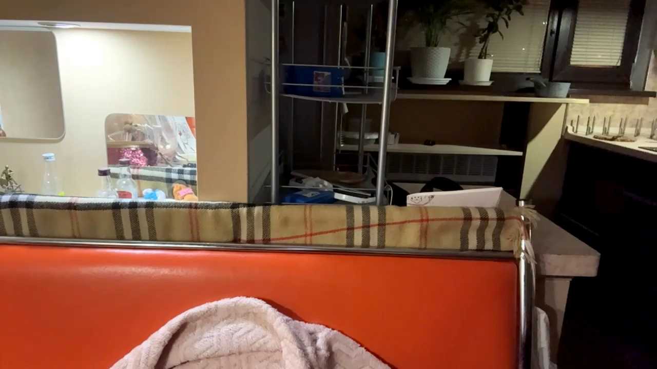 Blondilis cam recording