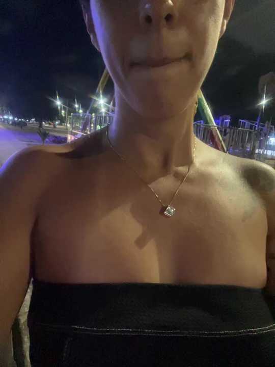 Brunaferrazz cam recording