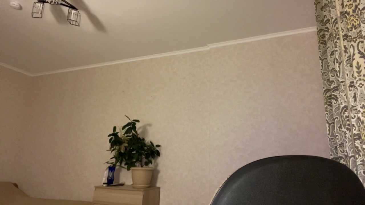 CaraMalpica cam recording