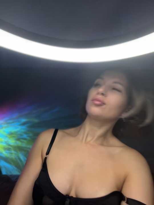 CatVibe cam recording