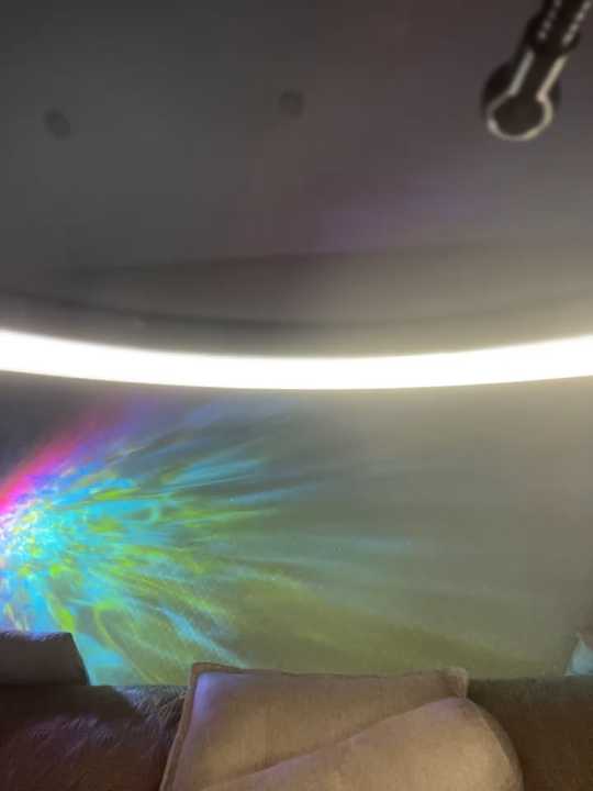 CatVibe cam recording
