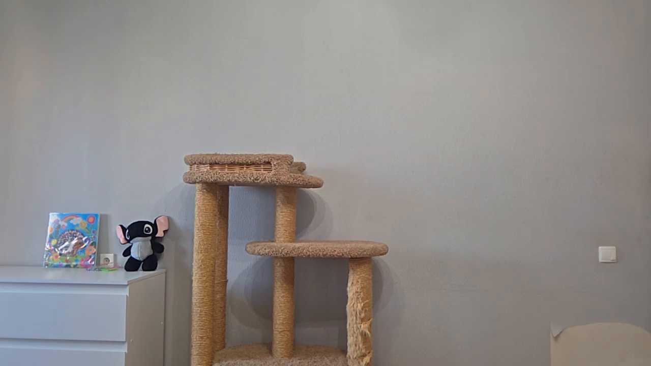 ChrystalAlma cam recording