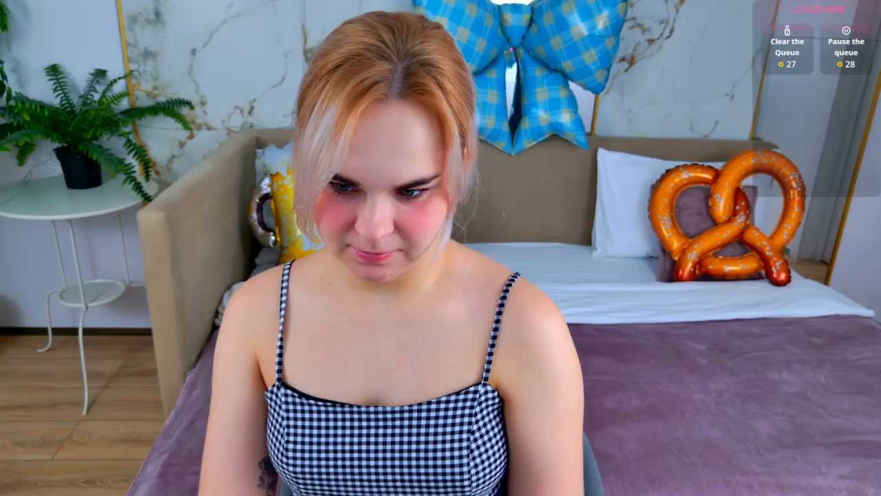 DaisySnow cam recording