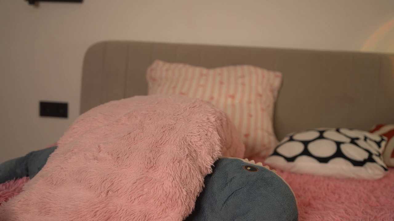 Dallass_ss cam recording