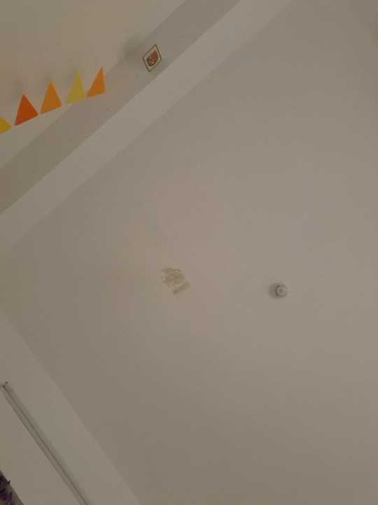 DilaraSecret cam recording