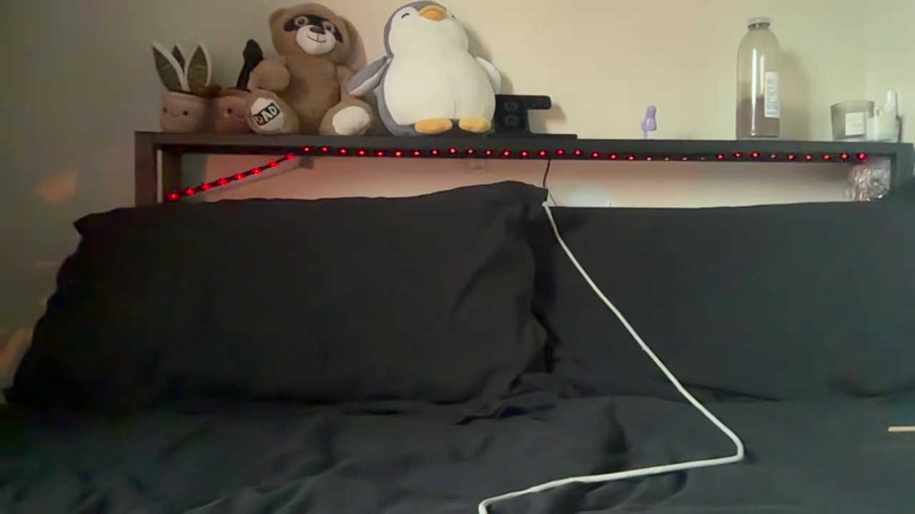 DisguisedTemptationXoxx cam recording