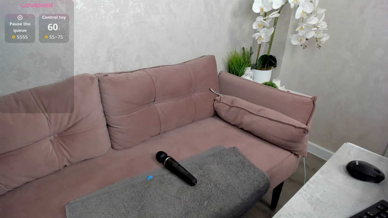 Dixon_Ross cam recording