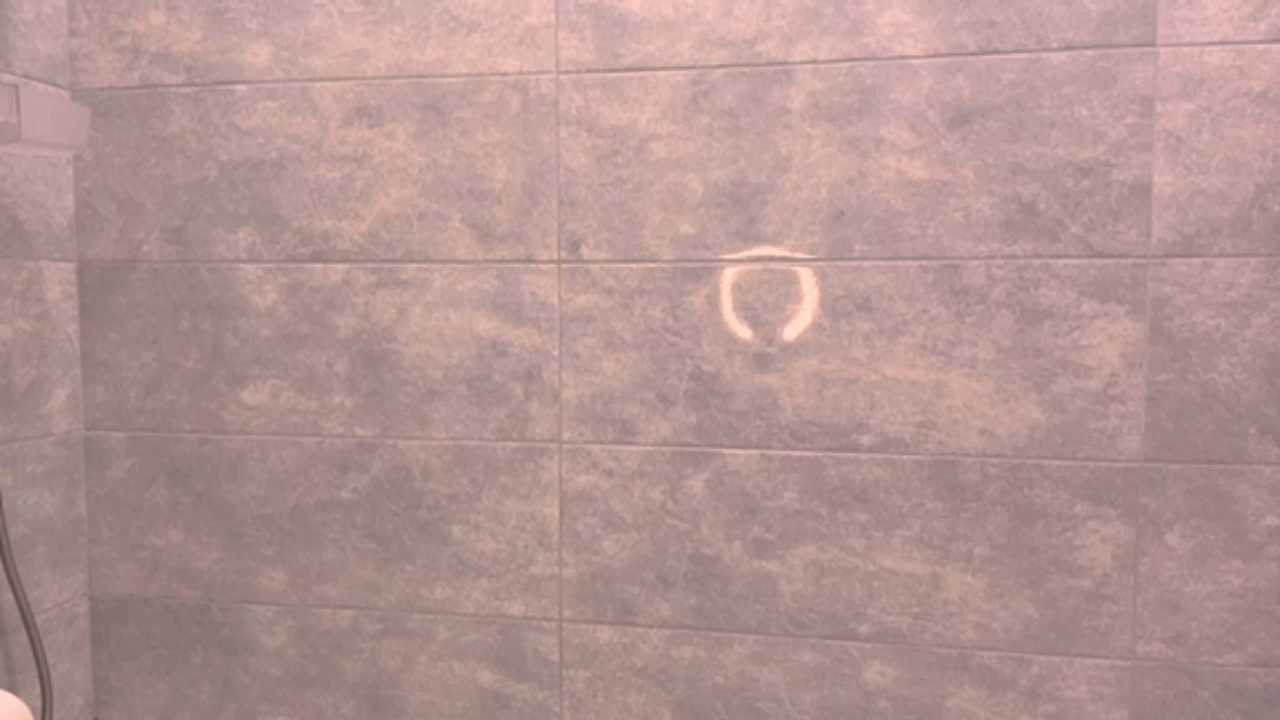 EleneZediker Stripchat recording – Oct 24, 2026