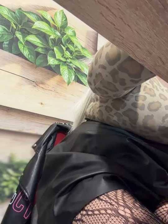 Eliaden cam recording