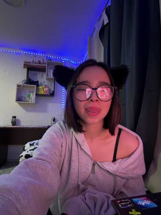 FeliceCat cam recording