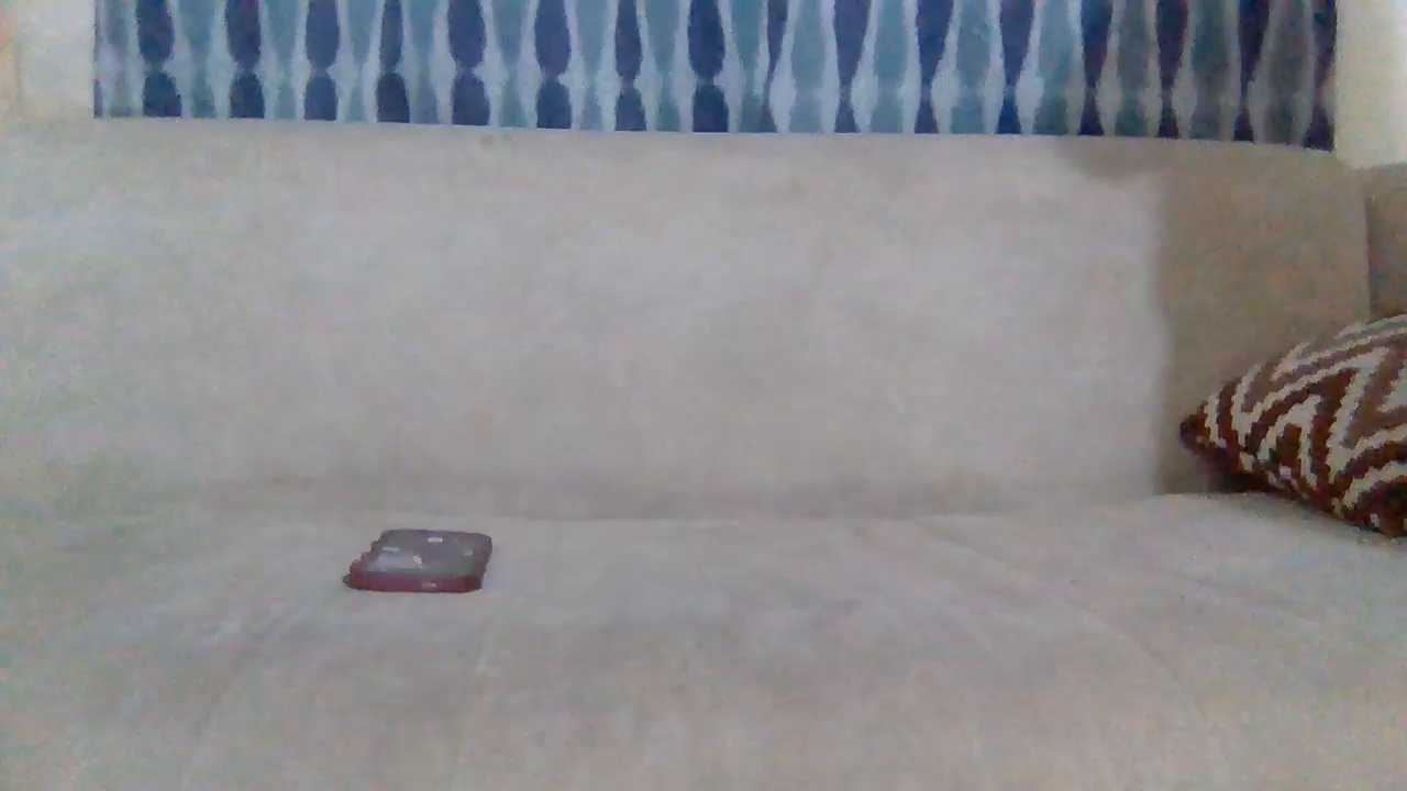 Foxxy-e cam recording