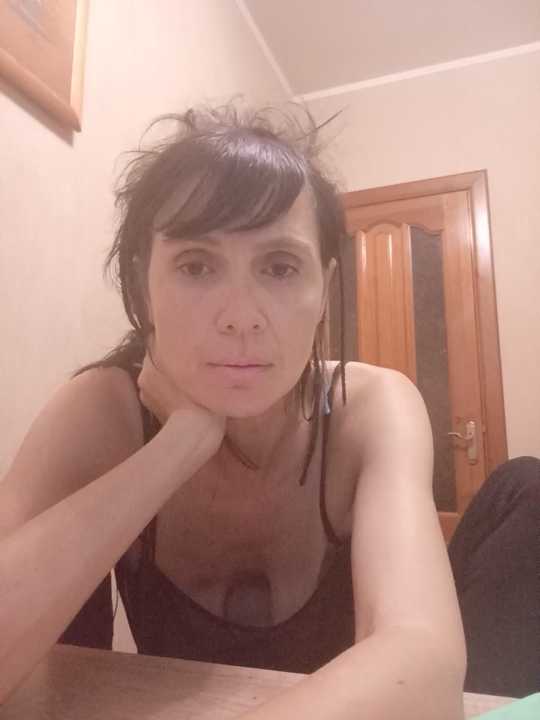 Francenia_lolis