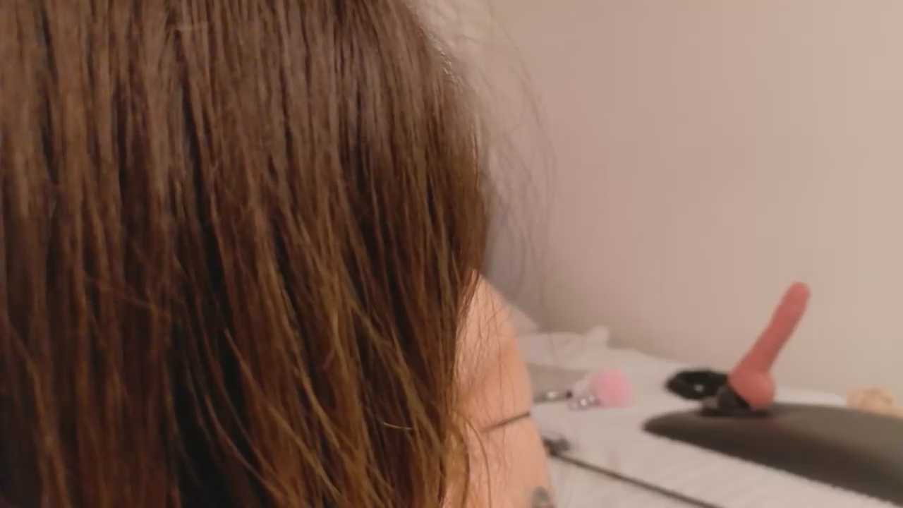 FrieMoor cam recording