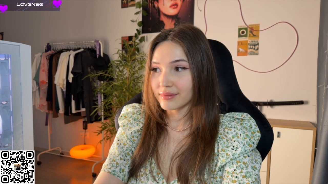 Ginsyha cam recording
