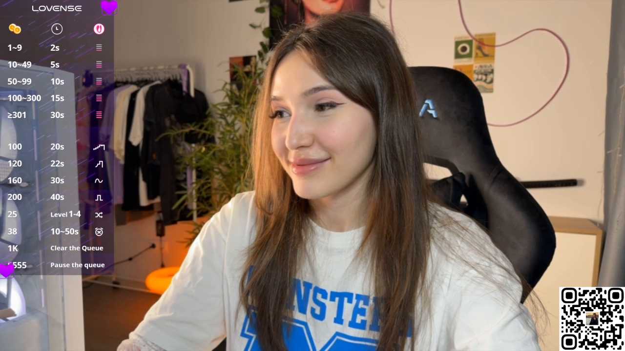 Ginsyha cam recording