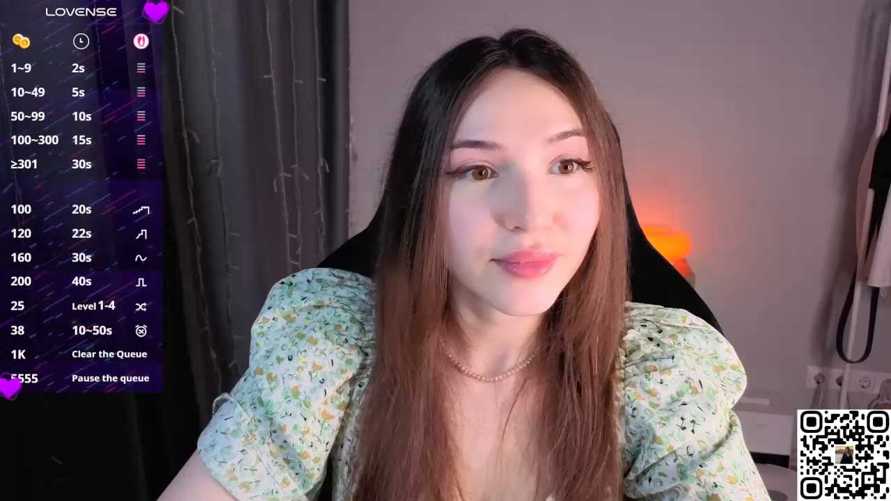 Ginsyha cam recording
