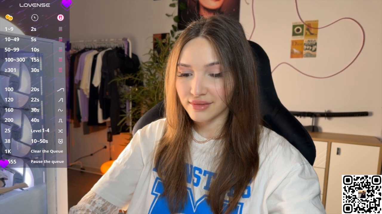 Ginsyha cam recording