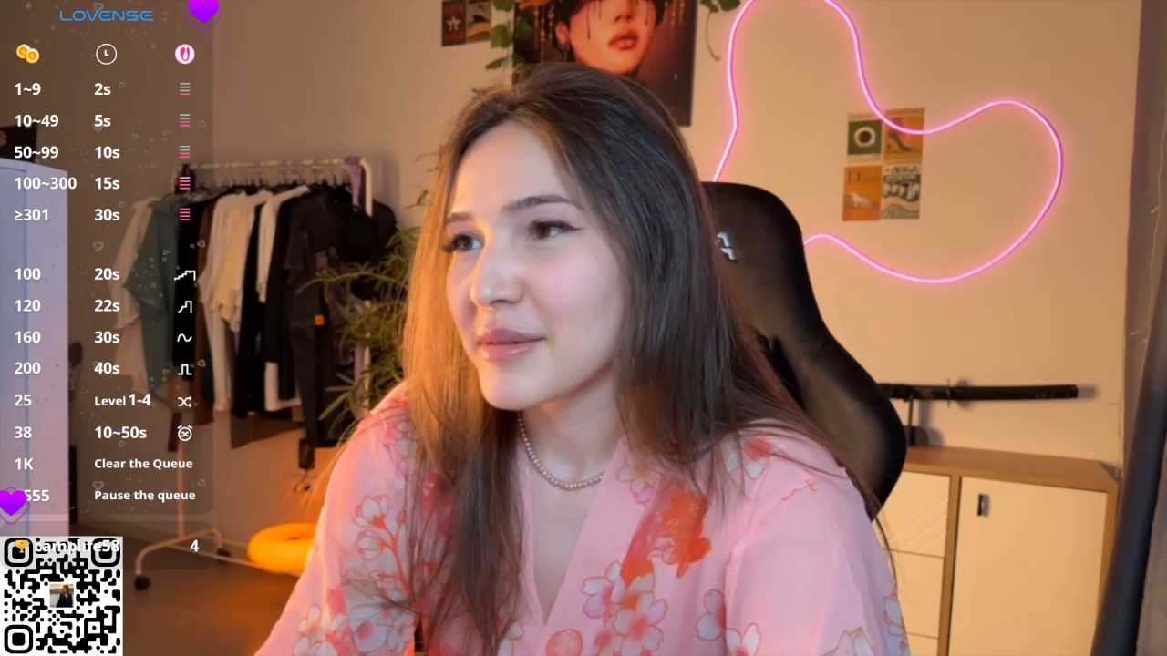 Ginsyha cam recording