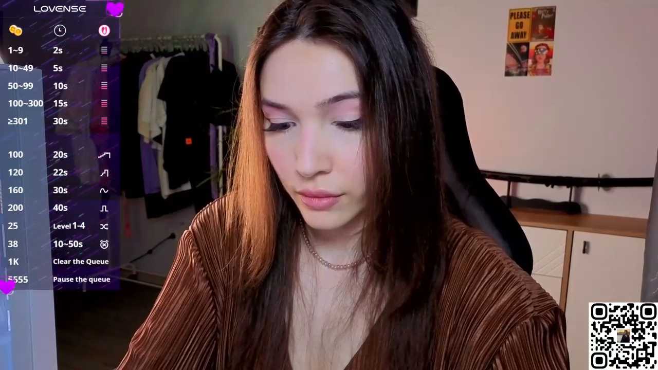 Ginsyha cam recording
