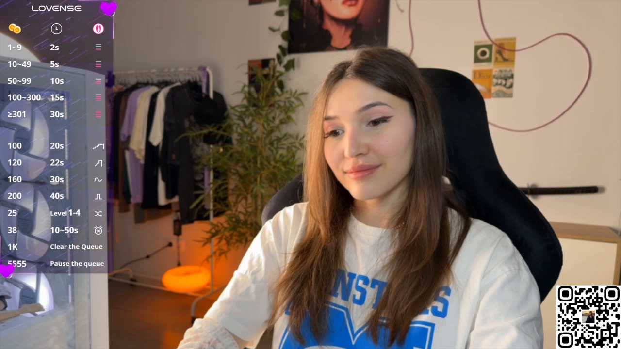 Ginsyha cam recording