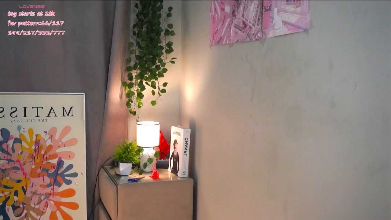 HermaFrain cam recording