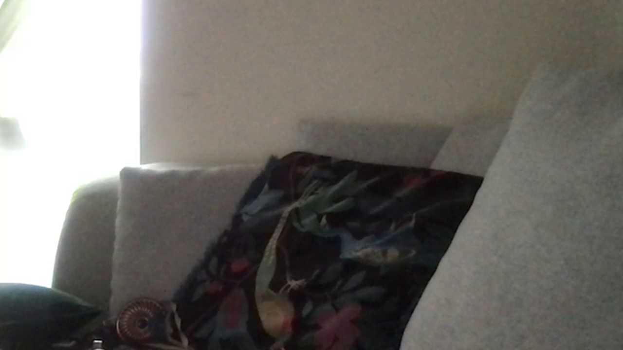 JuicyOpportunity8202 cam recording