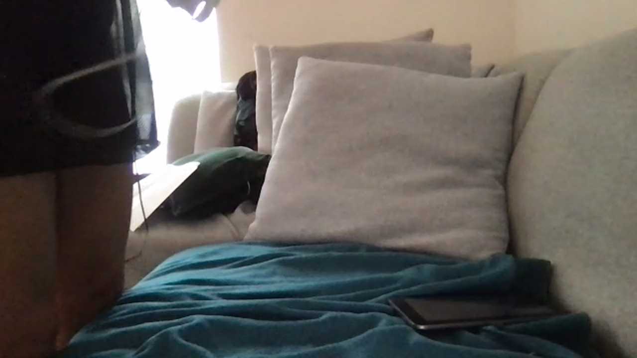 JuicyOpportunity8202 cam recording