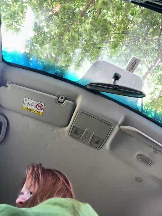 Kelley_Allie
