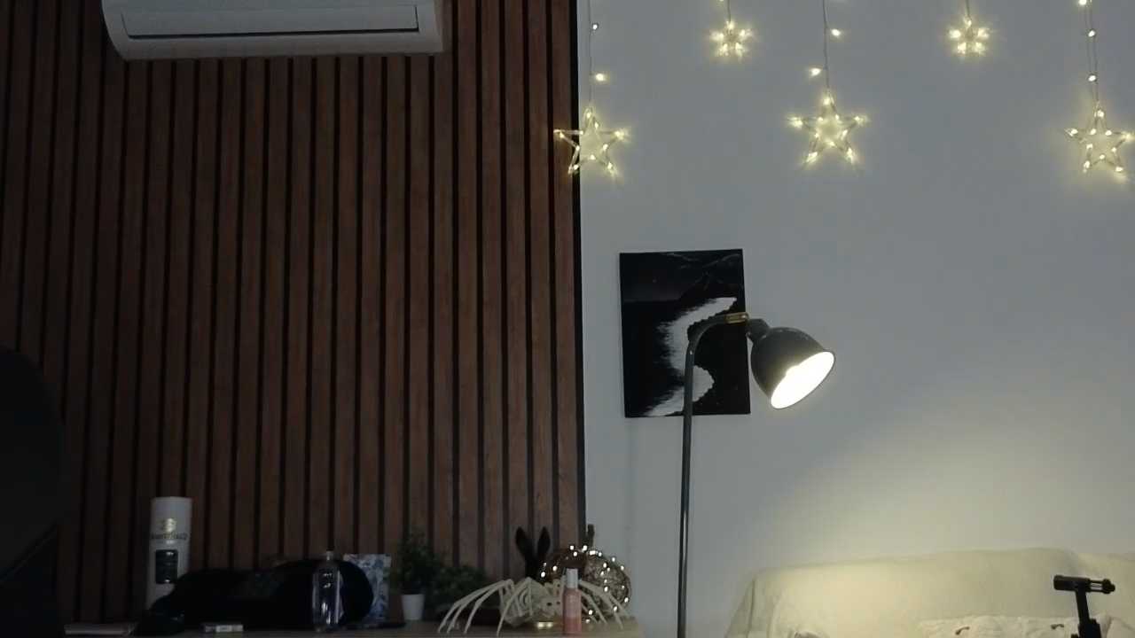 KimArts Stripchat recording – Oct 13, 2026