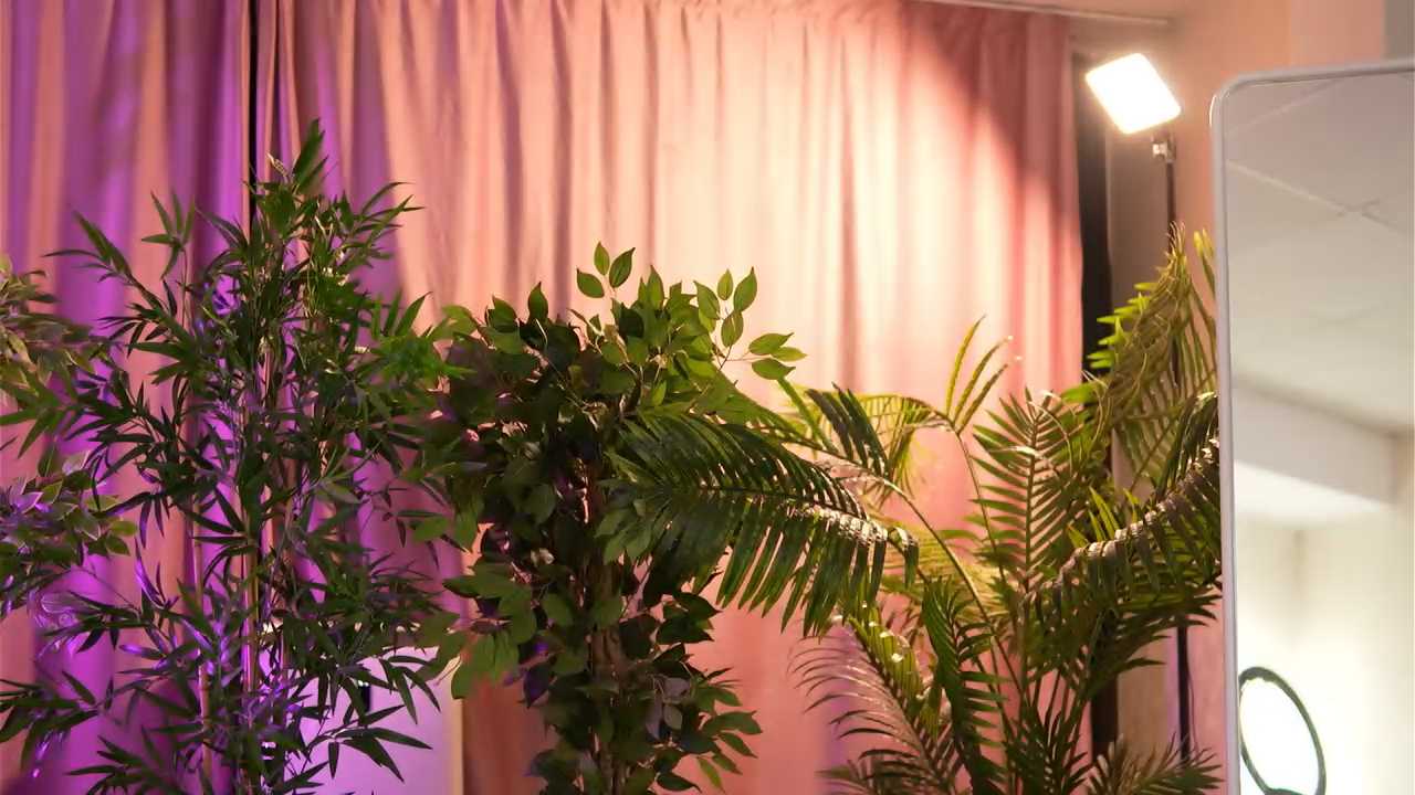 LalaRoze cam recording