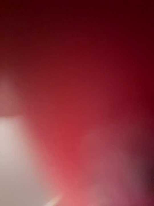 Laura_Millf
