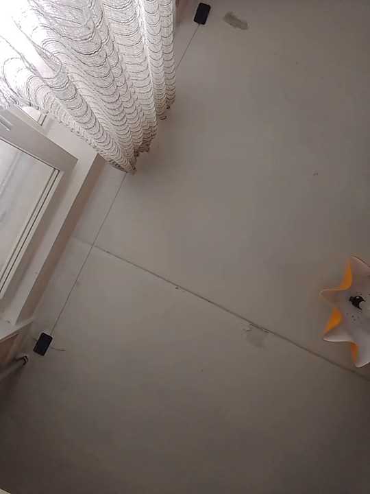 Lauren_Amabel