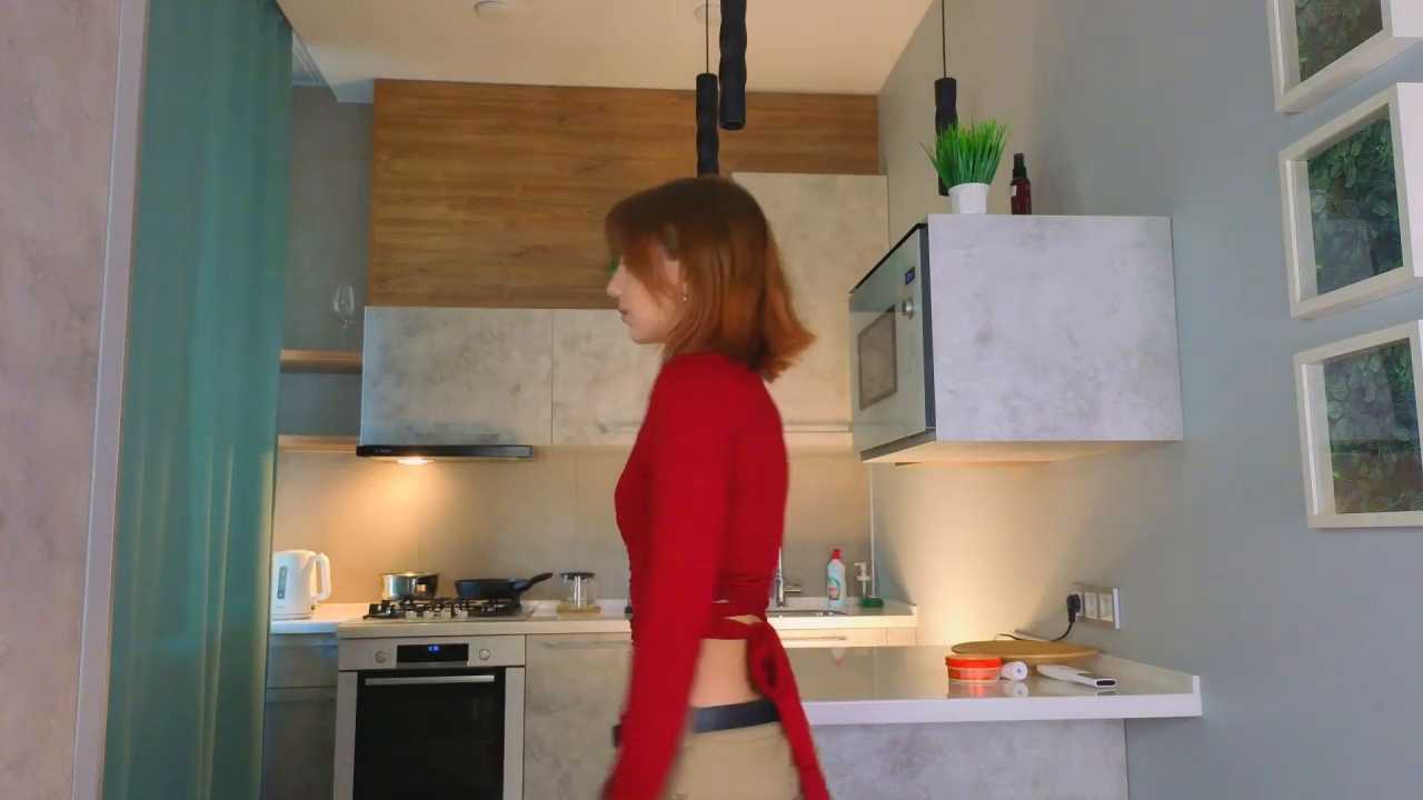 LeanKennis cam recording