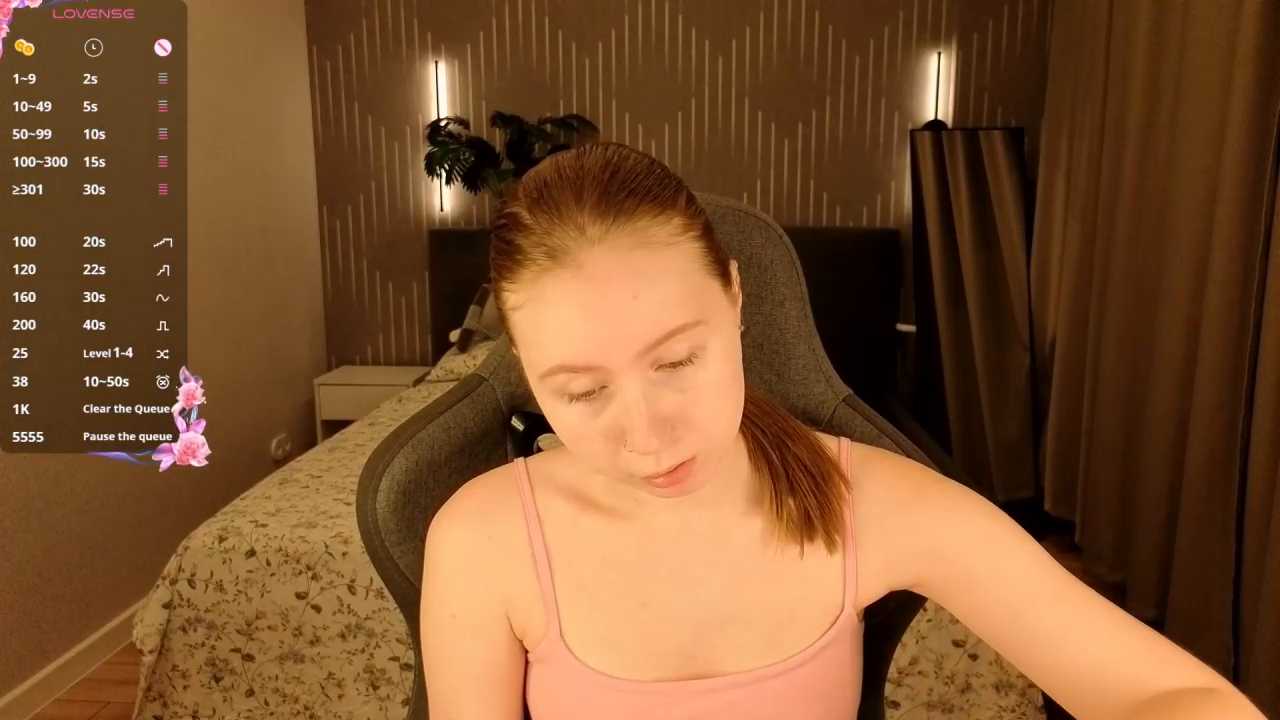 LiliTiny cam recording