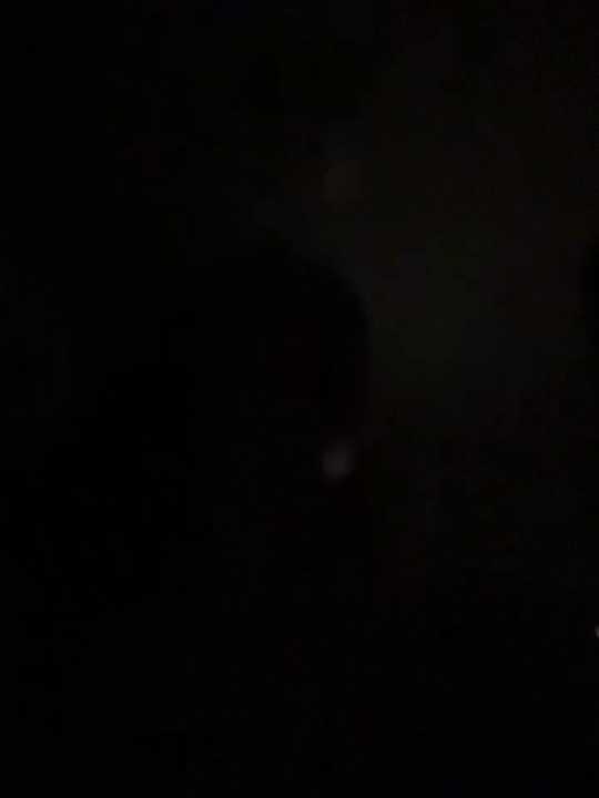 LittleFox___ cam recording