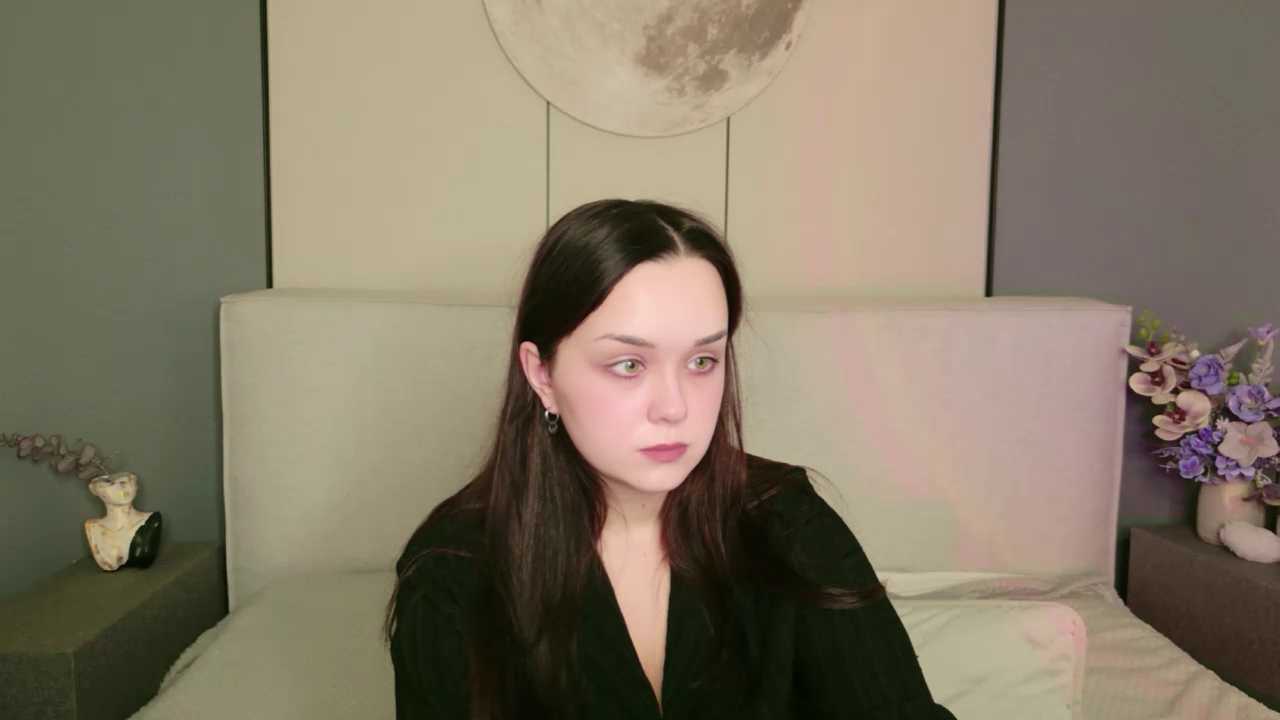 LivRous cam recording