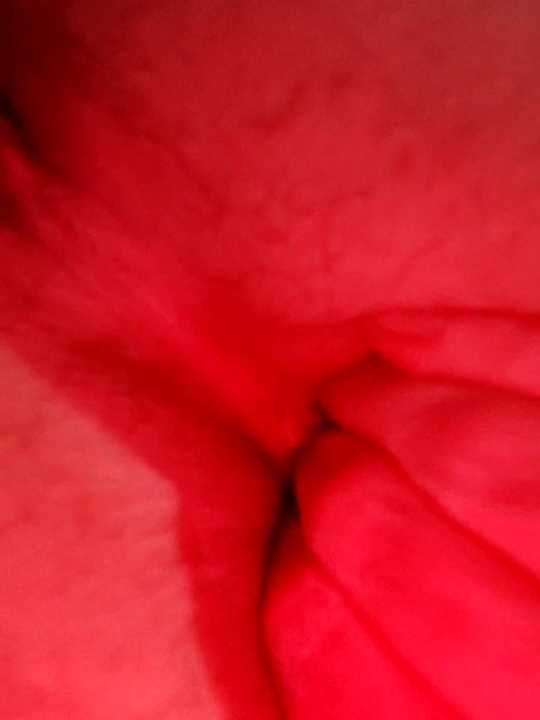 Lorenacica