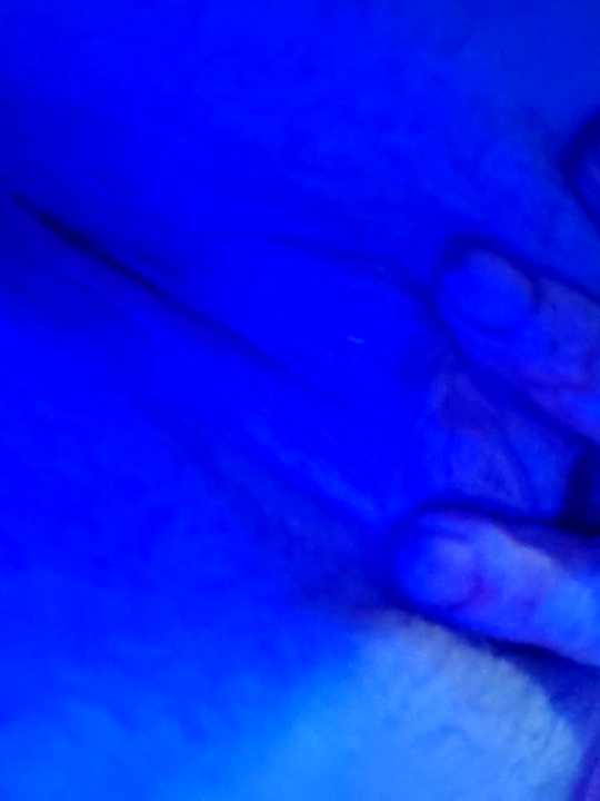 Lorenacica